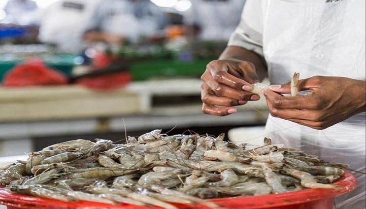 indian vannamei shrimp market