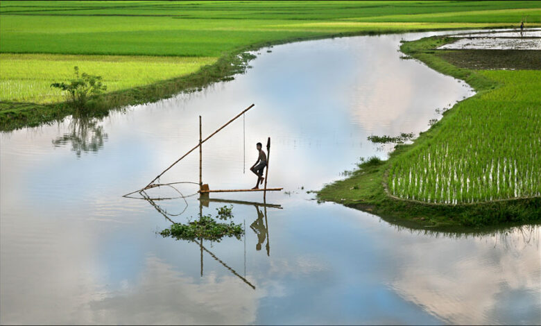 climate change bangladesh