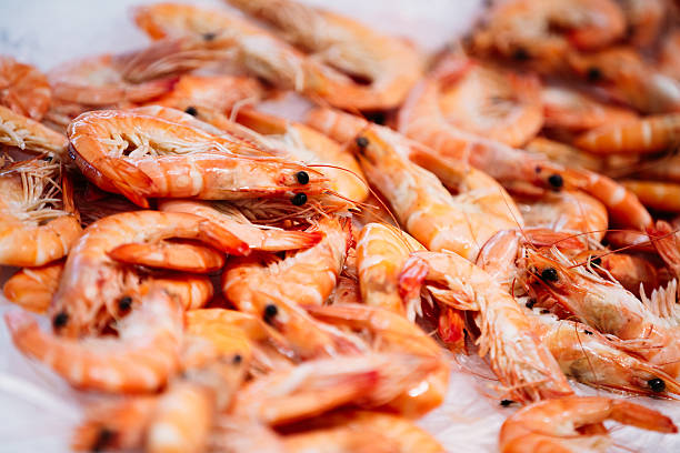 seafood in threat for climate change