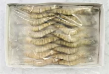 black tiger shrimp exporters of Bangladesh, shrimp export of bangladesh