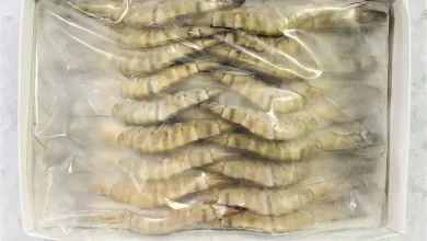 black tiger shrimp exporters of Bangladesh, shrimp export of bangladesh