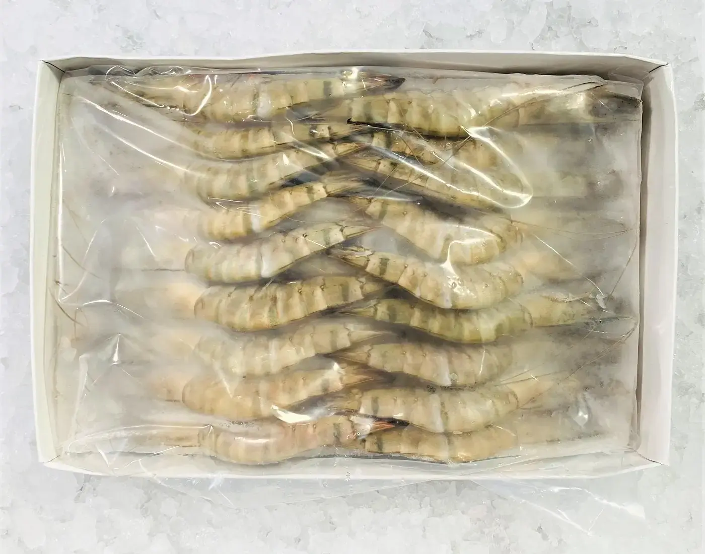 black tiger shrimp exporters of Bangladesh, shrimp export of bangladesh