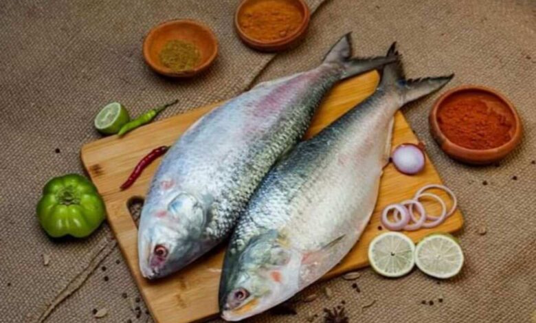 hilsa fish from bangladesh