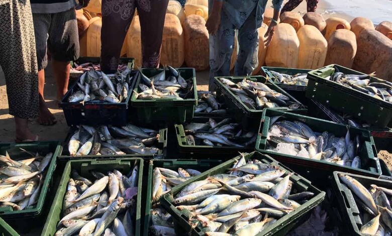 Andhra pradesh govt plans to roll out seafood market expansion in domestic arena