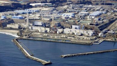 Fukushima second batch of water release by japan which will effect seafood import from japan