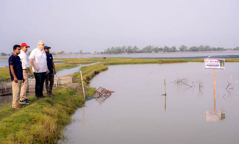 luna shrimp farms lenk frozen