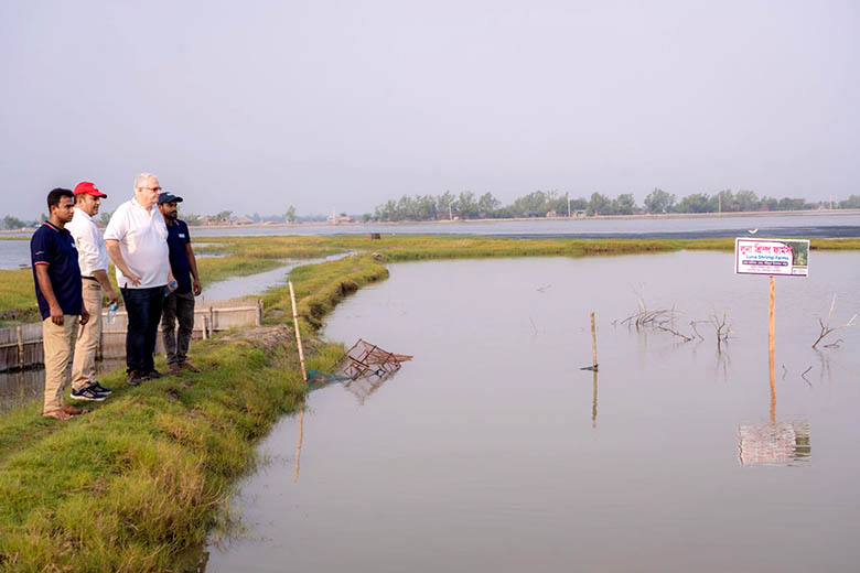 luna shrimp farms lenk frozen