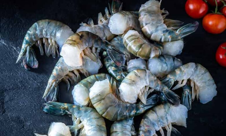 Head less shell on freshwater prawn shrimp, a Israeli Tiran group brought innovation to its farming