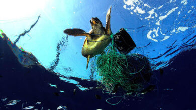 ghost fishing gear