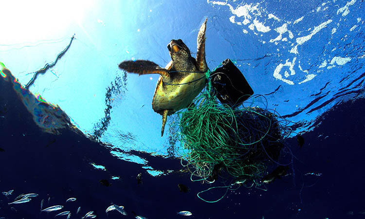 ghost fishing gear