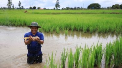 aqua-agri synergy can boost up profit for the fish farm big time.