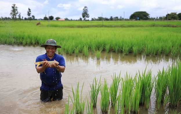 aqua-agri synergy can boost up profit for the fish farm big time.