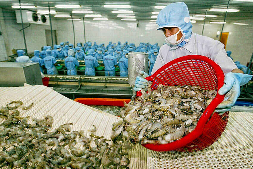 Vietnamese Black Tiger Shrimp exports to UK has increased in 2.7% rate / seafood export