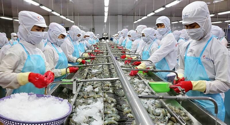 Vietnam shrimp processing factory