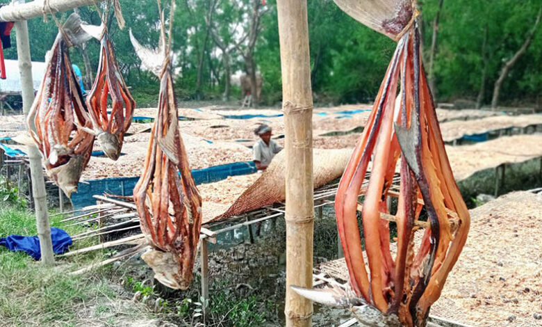 Dublar char dried fish, dry fish village in sundarbans