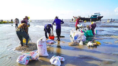 Vietnam marine seafood economy