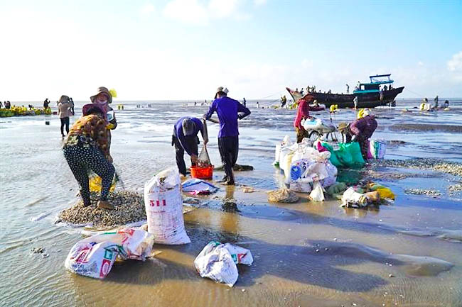 Vietnam marine seafood economy