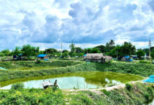 Jashore fish farming pond