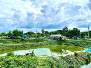 Jashore fish farming pond