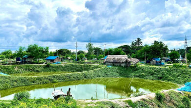 Jashore fish farming pond