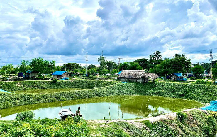 Jashore fish farming pond