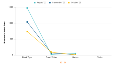 shrimp export infographic for the month of October 2023