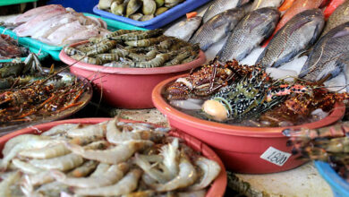 seafood market of philippines