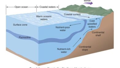 ocean upwelling