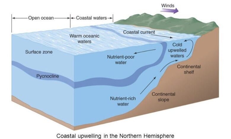 ocean upwelling