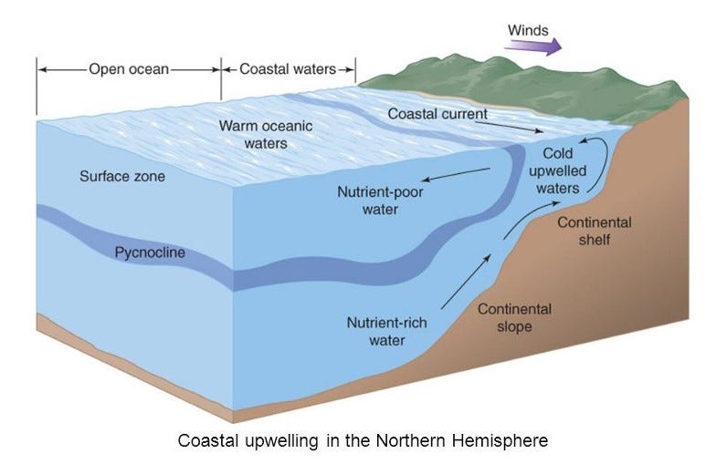 ocean upwelling