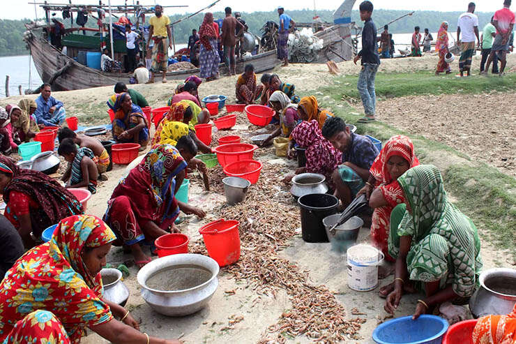 women rights climate change shrimp workers