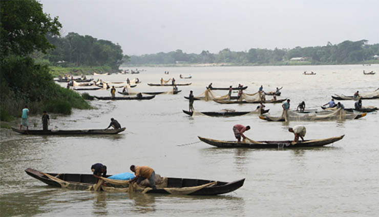 halda river fish