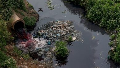 freshwater aquaculture Bangladesh fish