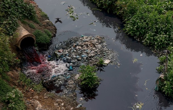 freshwater aquaculture Bangladesh fish