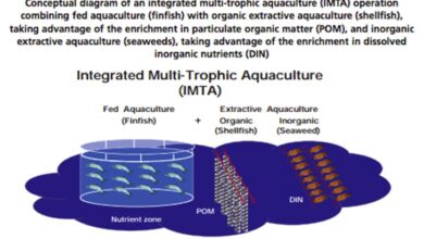 IMTA integrated multi trophic aquaculture