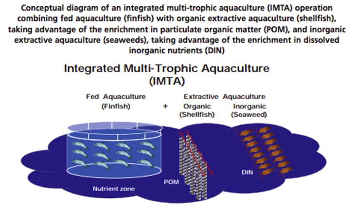 IMTA integrated multi trophic aquaculture