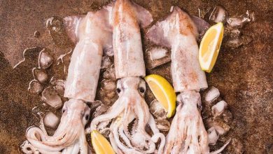 cuttlefish as food