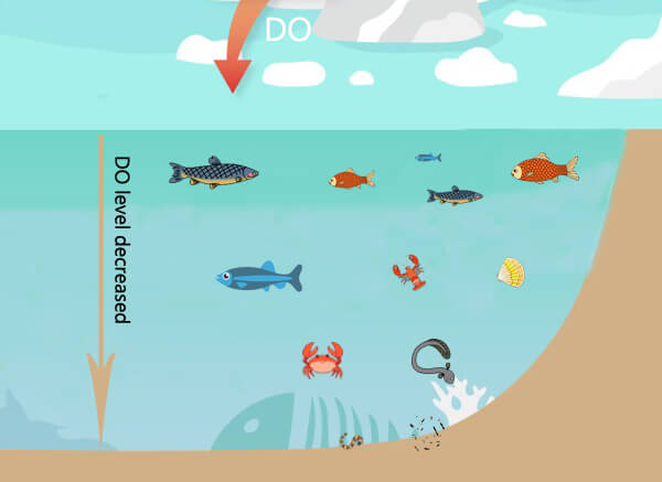 dissolved oxygen aquaculture