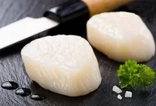 Japanese scallops processing plant in Bangladesh