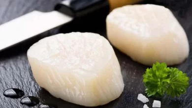 Japanese scallops processing plant in Bangladesh