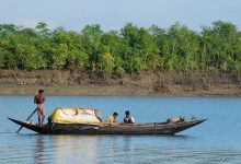 Sundarbans to reopen for fishing and toursim