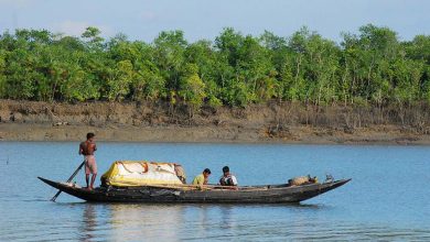 Sundarbans to reopen for fishing and toursim