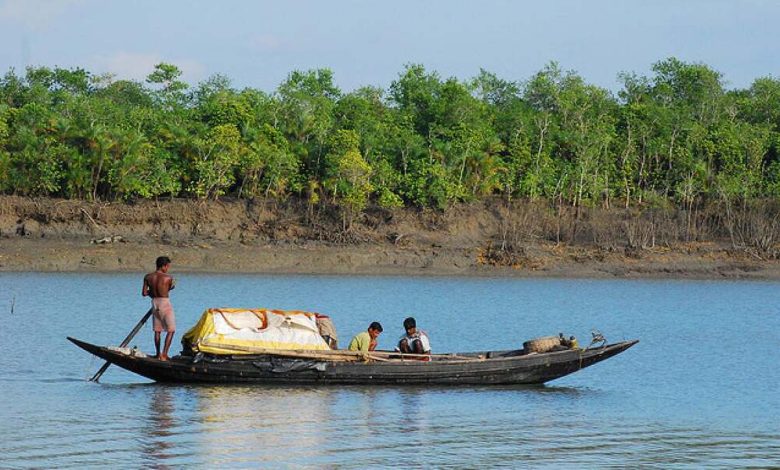 Sundarbans to reopen for fishing and toursim