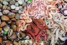 shellfish poisoning