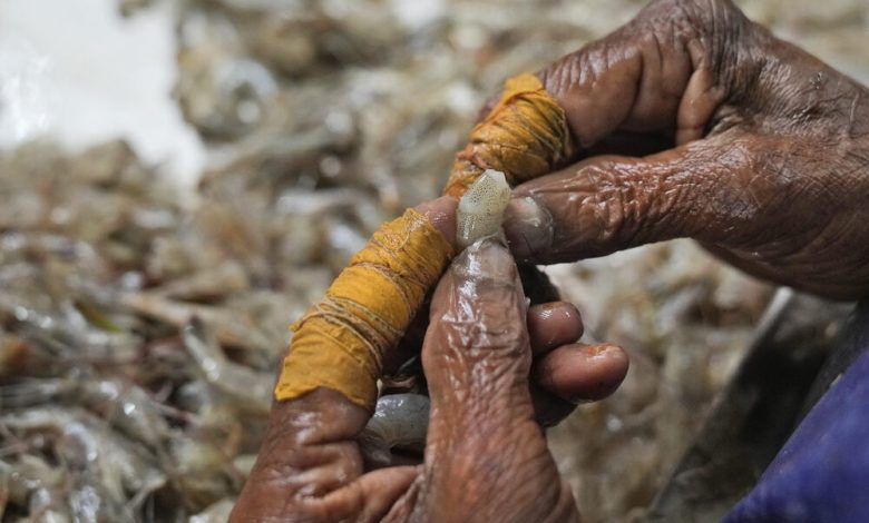 indian shrimp forced labor