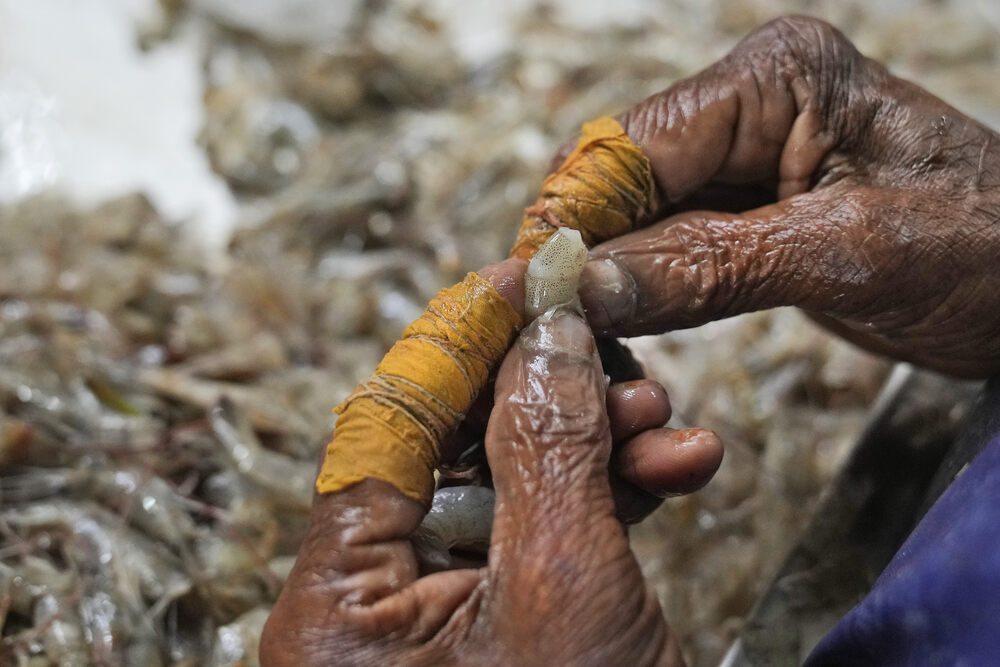 indian shrimp forced labor