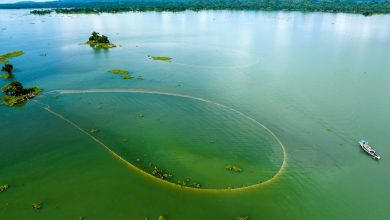 Kaptai lake fishing