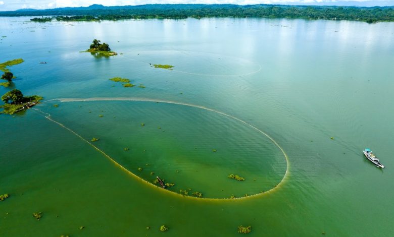 Kaptai lake fishing