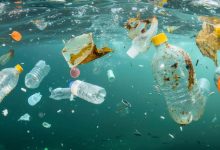 microplastics mercury seafood pollution