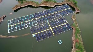 Chattisgarh cage fish farm india